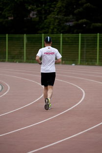 开云电竞平台-篮球专项技能训练负荷调节与效果评估研究，基础阶段篮球训练负荷安排